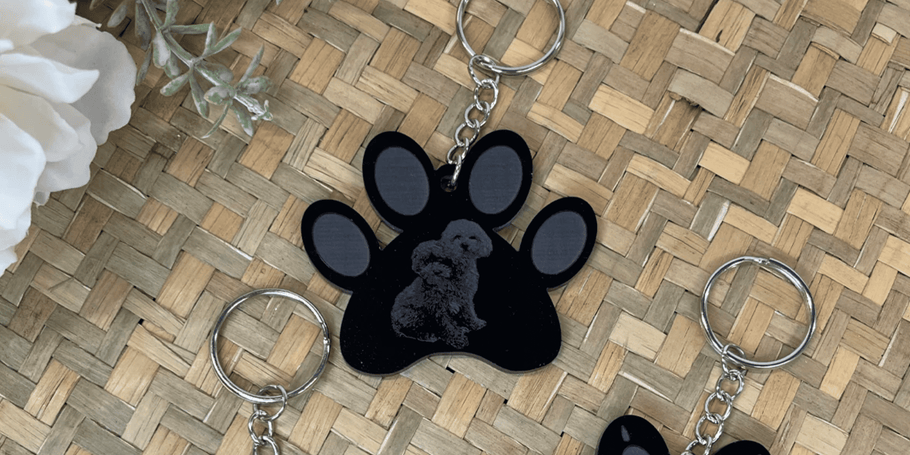 Regalos originales de mascotas: detalles únicos para amantes de los animales