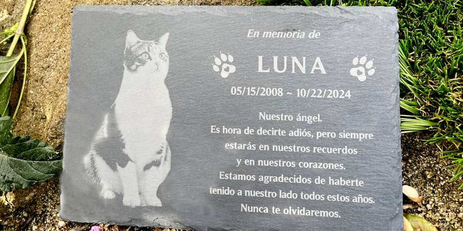 Regalos originales para mascotas: El amor se demuestra en cada detalle